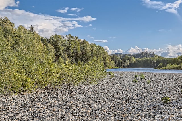 property view of water with a wooded view