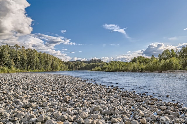 water view featuring a wooded view