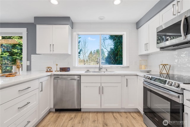 kitchen with white cabinetry, stainless steel appliances, and sink