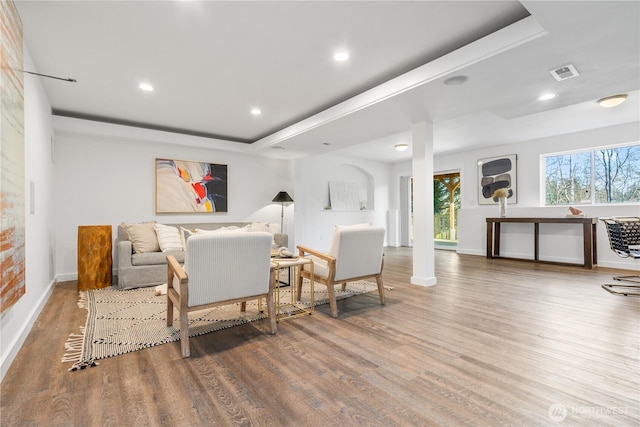 living room featuring wood-type flooring and a raised ceiling