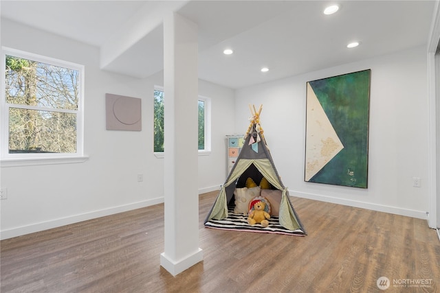 recreation room with wood-type flooring and a wealth of natural light