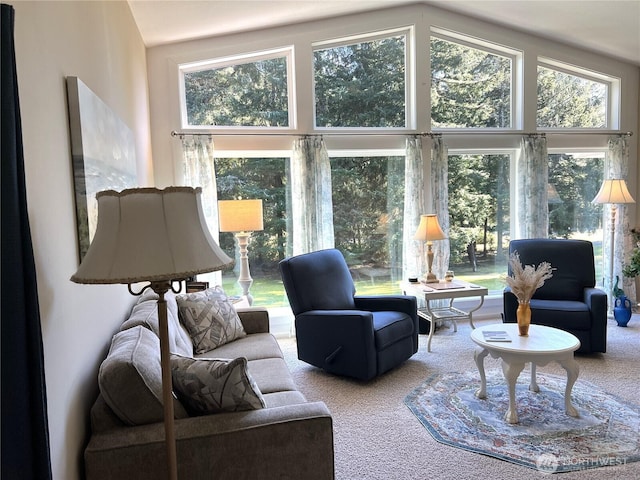 carpeted living area featuring high vaulted ceiling and plenty of natural light