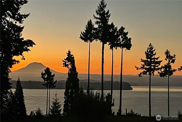 property view of water featuring a mountain view