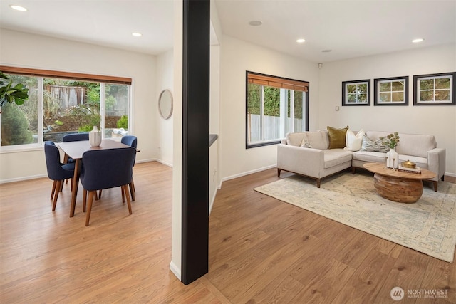 living room with a wealth of natural light and light wood-type flooring