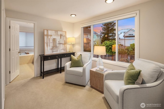 living area featuring light colored carpet