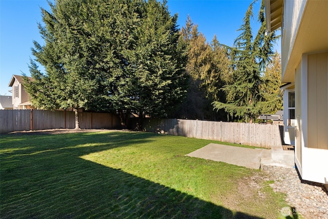 view of yard featuring a patio area