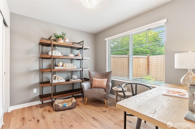 home office featuring light hardwood / wood-style floors