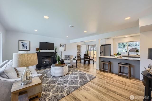 living room featuring light hardwood / wood-style floors