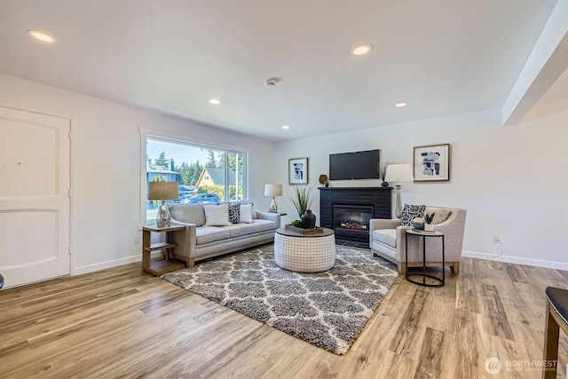 living room featuring a fireplace and light hardwood / wood-style floors