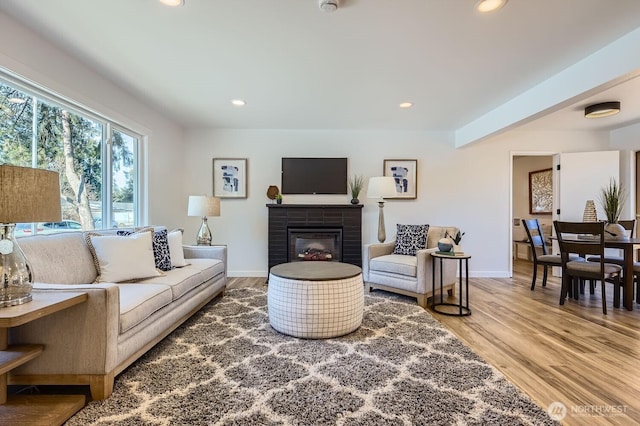 living room with hardwood / wood-style flooring