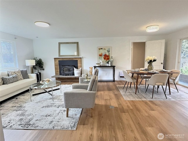 living room featuring wood finished floors