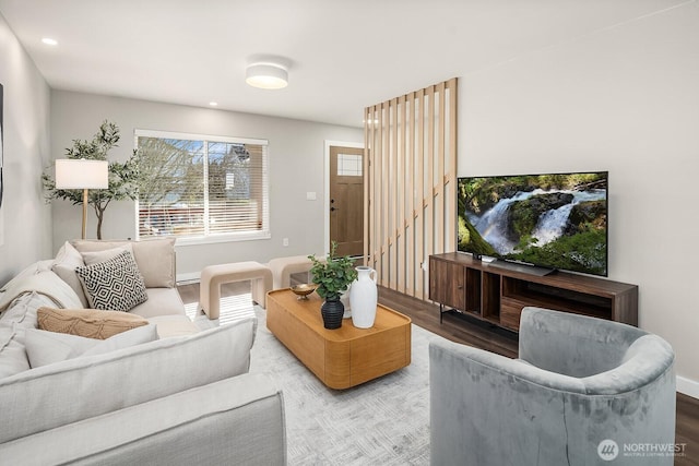 living room featuring wood-type flooring