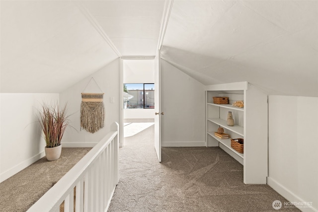 additional living space with lofted ceiling and carpet