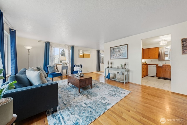 living room with light hardwood / wood-style flooring and a textured ceiling