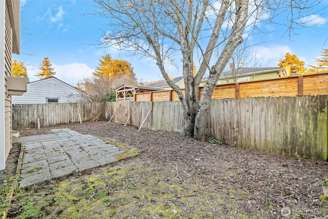 view of yard featuring a patio