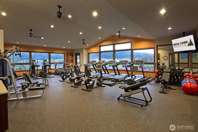 exercise room with a healthy amount of sunlight and vaulted ceiling