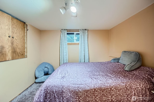 bedroom with carpet flooring