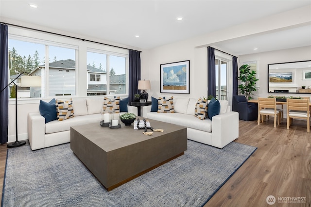 living room featuring light hardwood / wood-style flooring