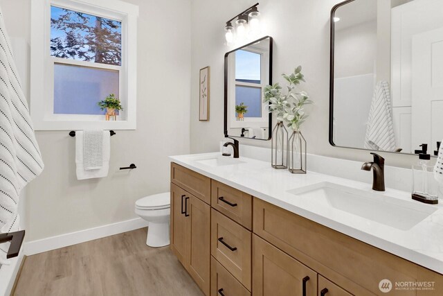 bathroom featuring vanity, wood-type flooring, and toilet