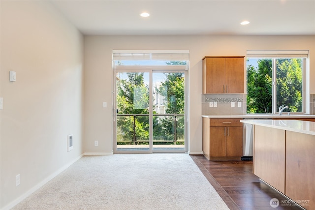 kitchen featuring tasteful backsplash, dark wood-type flooring, and a wealth of natural light