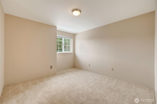 unfurnished room featuring carpet