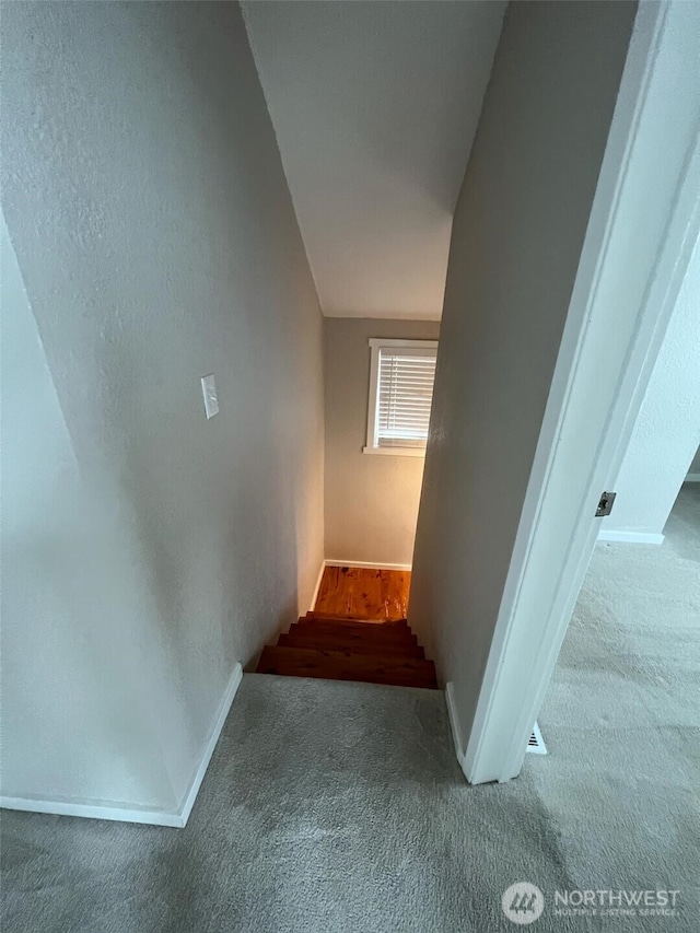 stairway featuring carpet flooring and vaulted ceiling