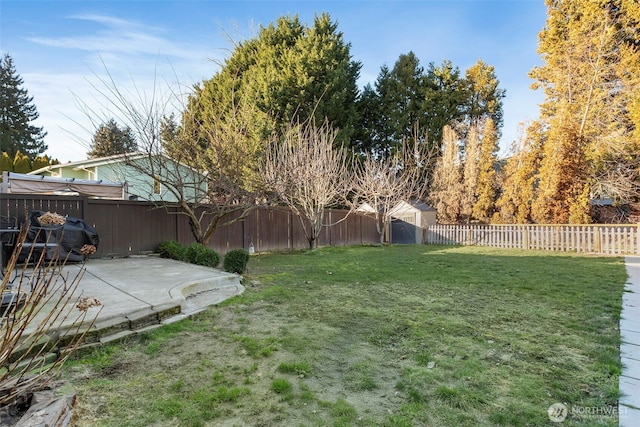 view of yard featuring a patio