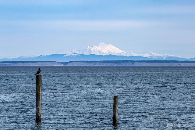190 N Diamond Shore Ln, Sequim, WA 98382 - photo 35