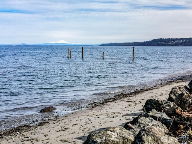 property view of water with a dock