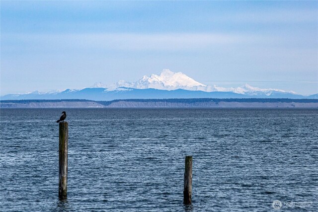 property view of water with a mountain view