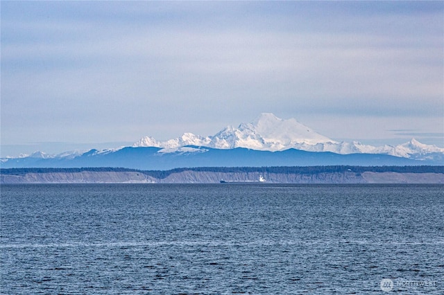 property view of water with a mountain view