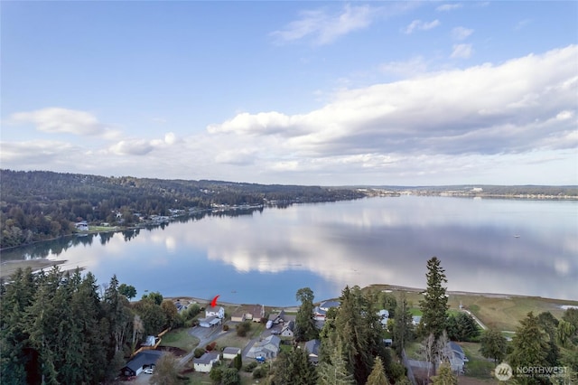 4412 Dyes Inlet Rd NW, Bremerton, WA 98312 - property view of water