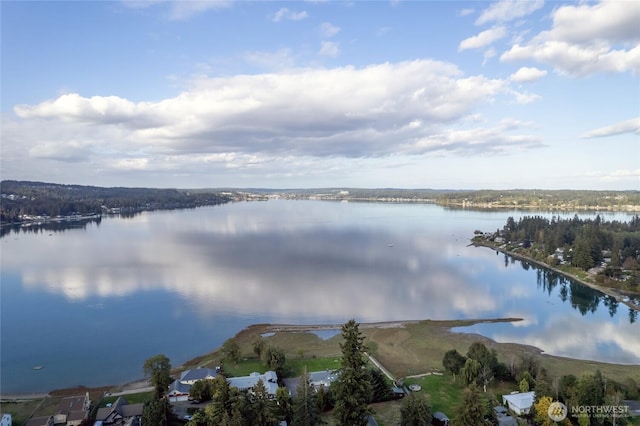 4412 Dyes Inlet Rd NW, Bremerton, WA 98312 - view of water feature