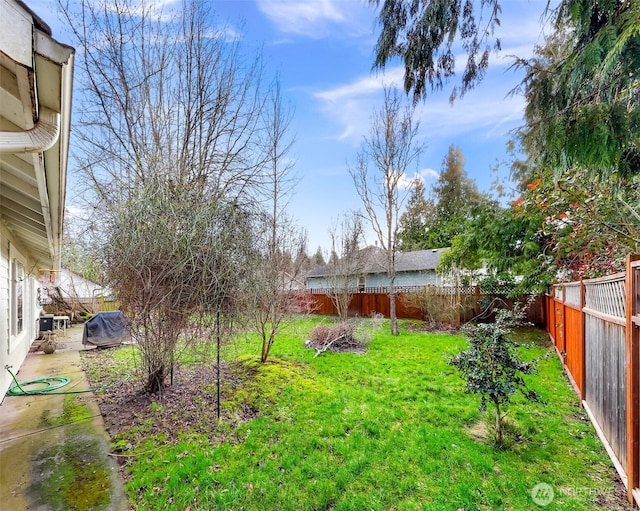 view of yard with a fenced backyard and a patio