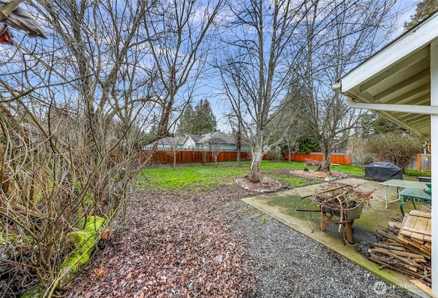 view of yard featuring a patio and a fenced backyard