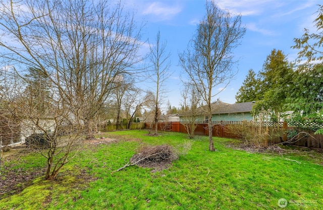 view of yard featuring a fenced backyard