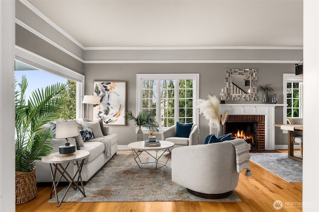 living room featuring hardwood / wood-style flooring, plenty of natural light, and a fireplace