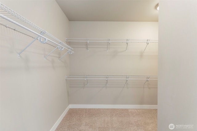 spacious closet with carpet floors