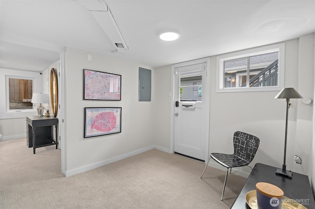 carpeted entrance foyer featuring electric panel