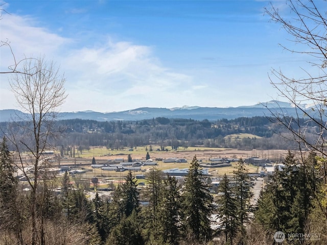 property view of mountains