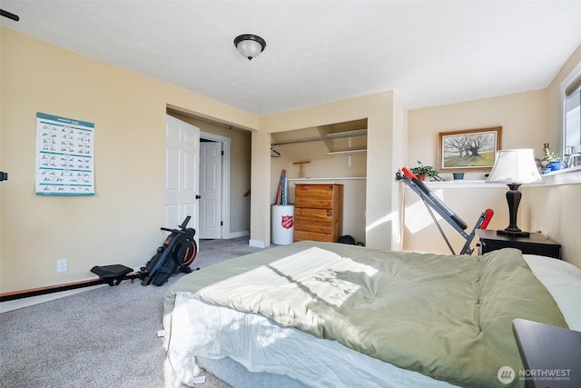 bedroom with carpet flooring and a closet