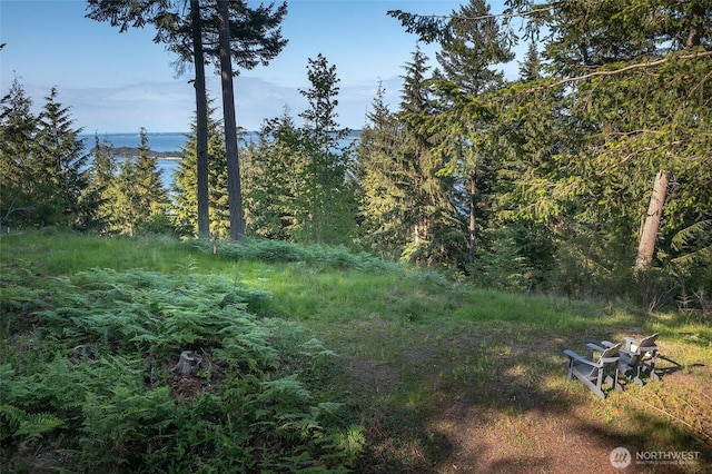 41 Raven Ln, Orcas Island WA, 98279 land for sale