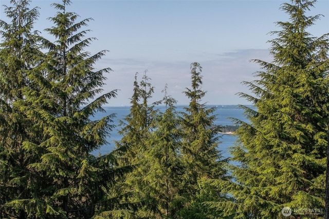 Listing photo 3 for 41 Raven Ln, Orcas Island WA 98279