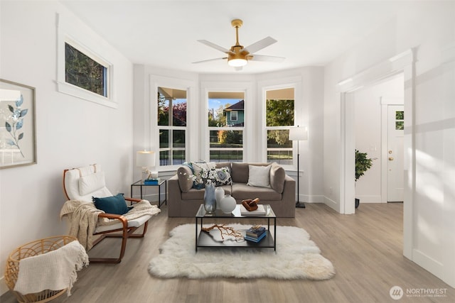 living room with ceiling fan and light hardwood / wood-style flooring