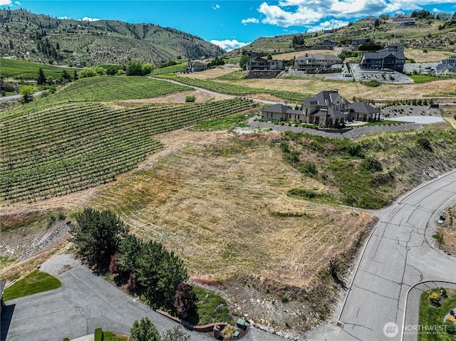 260 Bene Vista Ln, Chelan, WA 98816 - photo 4