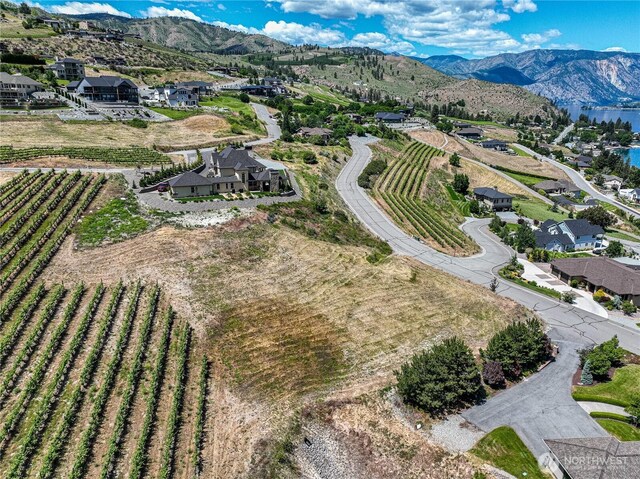 260 Bene Vista Ln, Chelan, WA 98816 - photo 5
