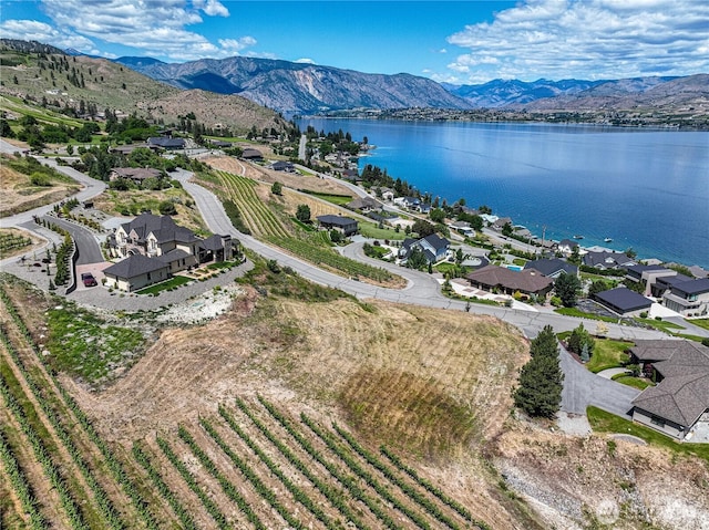 260 Bene Vista Ln, Chelan, WA 98816 - photo 6