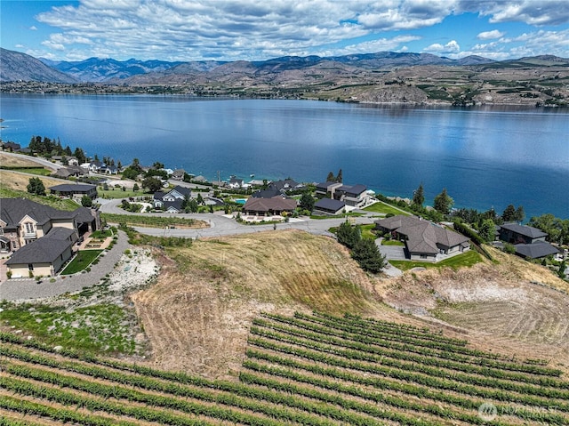 260 Bene Vista Ln, Chelan, WA 98816 - photo 7