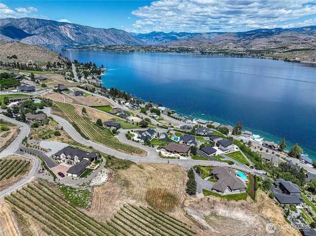 260 Bene Vista Ln, Chelan, WA 98816 - photo 9