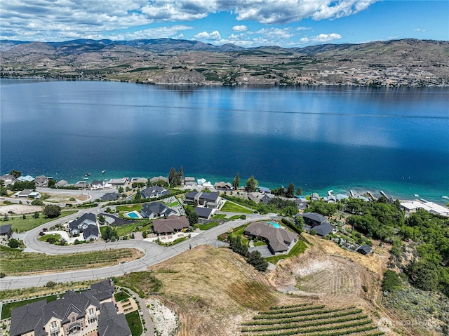 260 Bene Vista Ln, Chelan, WA 98816 - photo 10
